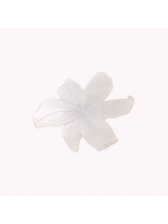 Broche Lys blanc