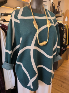Pull graphique canard